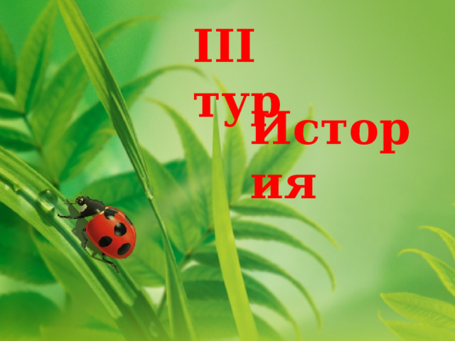 III тур История 