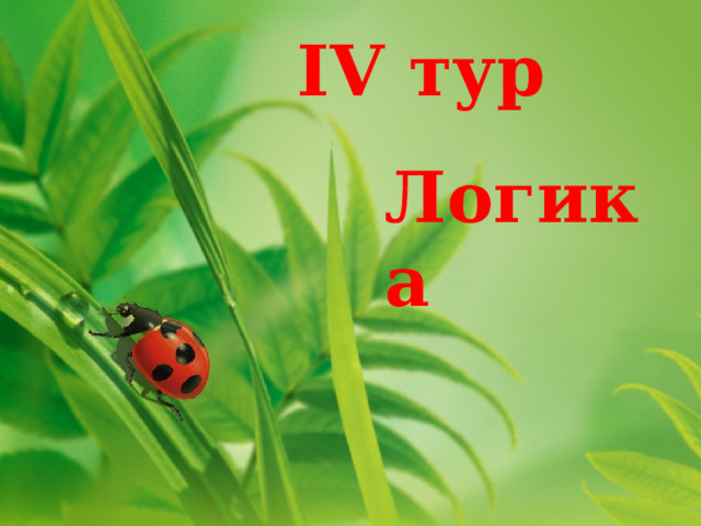 IV тур Логика 