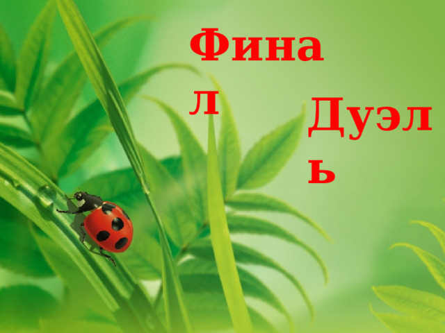 Финал Дуэль 