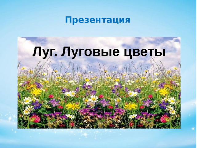  Презентация 
