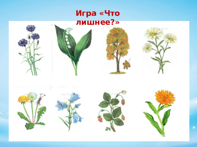 Игра «Что лишнее?» 
