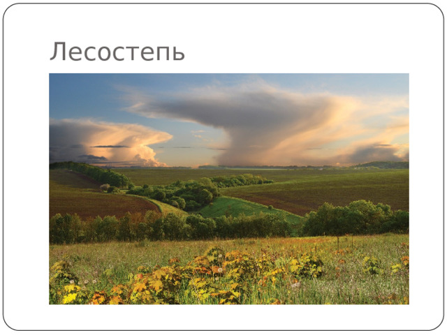 Лесостепь Это переходная зона между лесом и степью. Широколиственные, мелколиственные и сосновые леса здесь чередуются с разнотравными луговыми степями. Летом здесь тепло 20-22°С, а зимой достаточно холодно 22-24°С. Эта зона наиболее сильно изменена человеком.  