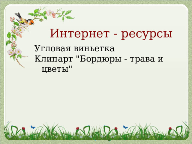 Интернет - ресурсы 