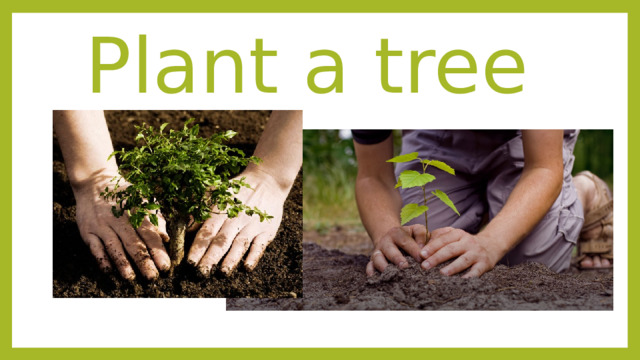 Plant a tree 