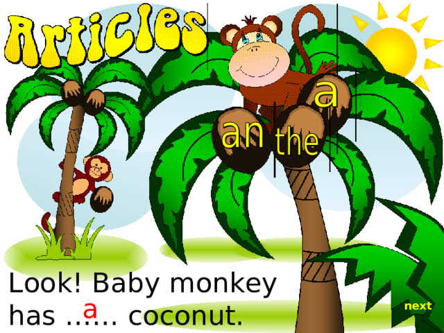 Look! Baby monkey has …… coconut. a next 