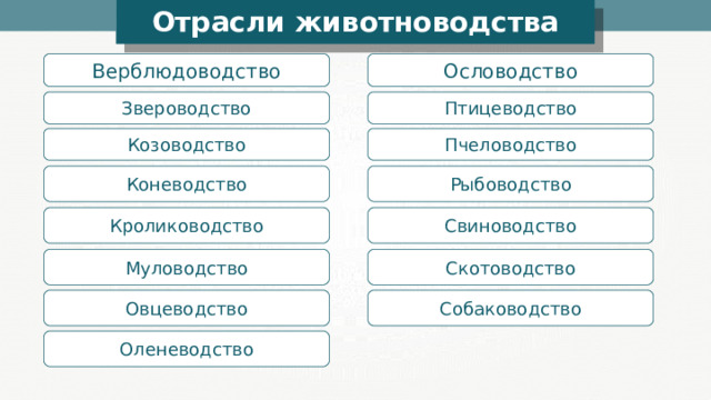 Отрасли животноводства Верблюдоводство Ословодство Звероводство Птицеводство Козоводство Пчеловодство Рыбоводство Коневодство Кролиководство Свиноводство Скотоводство Муловодство Собаководство Овцеводство Оленеводство 