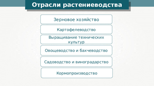 Отрасли растениеводства Зерновое хозяйство Картофелеводство Выращивание технических культур Овощеводство и бахчеводство Садоводство и виноградарство Кормопроизводство 