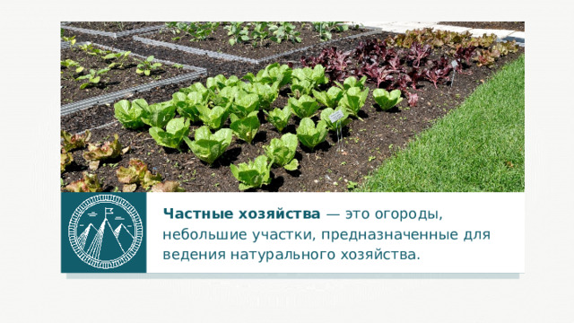 Частные хозяйства — это огороды, небольшие участки, предназначенные для ведения натурального хозяйства. 