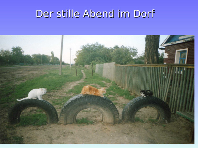  Der stille Abend im Dorf 