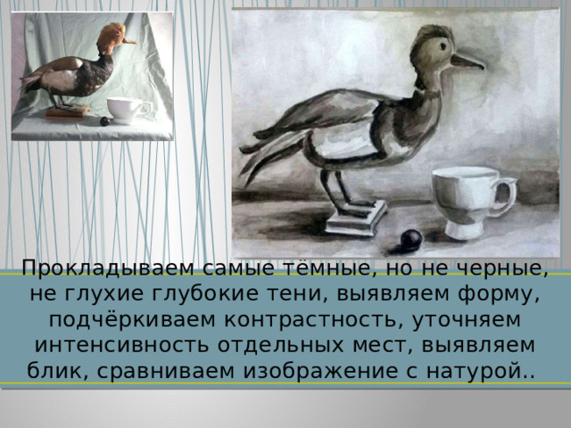 Прокладываем самые тёмные, но не черные, не глухие глубокие тени, выявляем форму, подчёркиваем контрастность, уточняем интенсивность отдельных мест, выявляем блик, сравниваем изображение с натурой..  