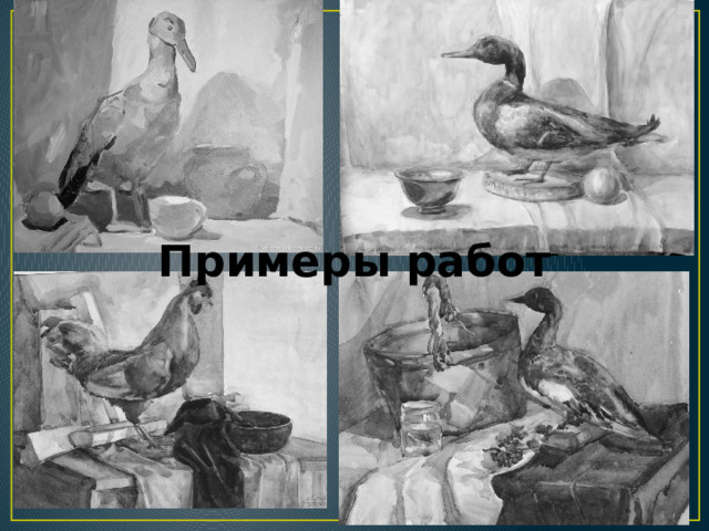 Примеры работ 