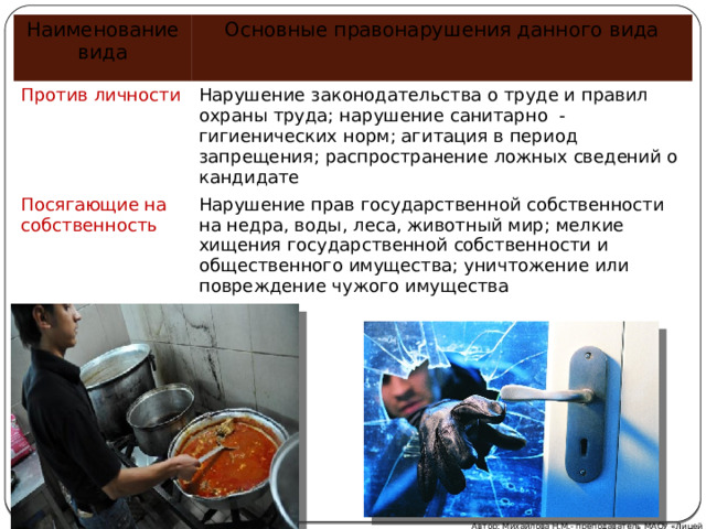 Наименование вида Основные правонарушения данного вида Против личности Нарушение законодательства о труде и правил охраны труда; нарушение санитарно - гигиенических норм; агитация в период запрещения; распространение ложных сведений о кандидате Посягающие на собственность Нарушение прав государственной собственности на недра, воды, леса, животный мир; мелкие хищения государственной собственности и общественного имущества; уничтожение или повреждение чужого имущества Автор: Михайлова Н.М.- преподаватель МАОУ «Лицей № 21» 