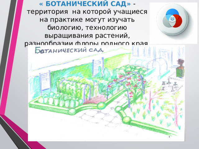 « БОТАНИЧЕСКИЙ САД» - территория на которой учащиеся на практике могут изучать биологию, технологию выращивания растений, разнообразии флоры родного края. 