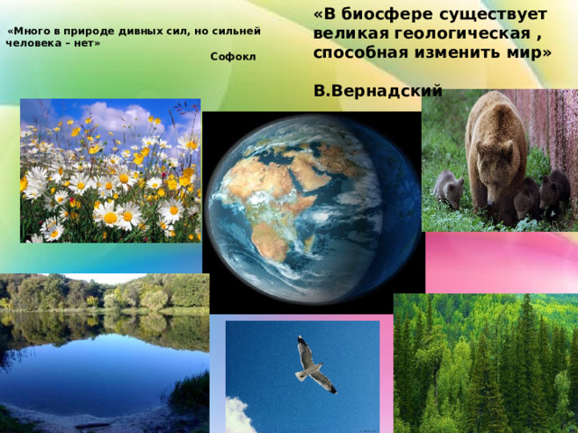 «В биосфере существует великая геологическая , способная изменить мир» В.Вернадский «Много в природе дивных сил, но сильней человека – нет» Софокл     