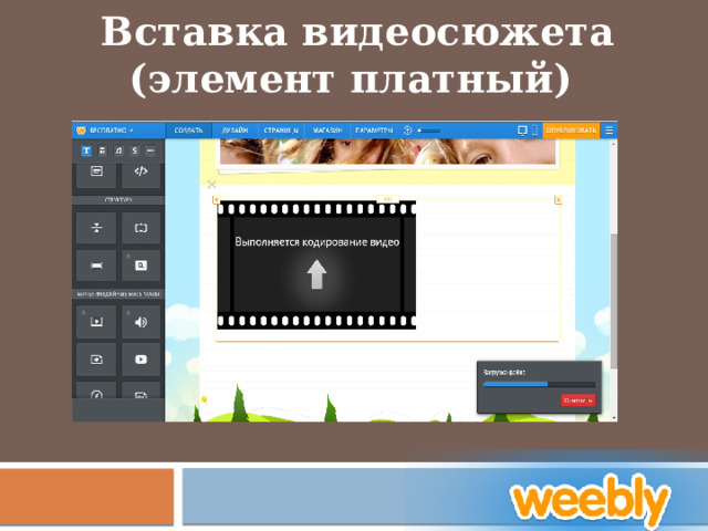  Вставка видеосюжета (элемент платный) 