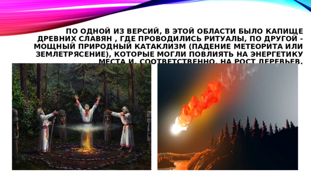 По одной из версий, в этой области было капище древних славян , где проводились ритуалы, по другой - мощный природный катаклизм (падение метеорита или землетрясение), которые могли повлиять на энергетику места и, соответственно, на рост деревьев. 