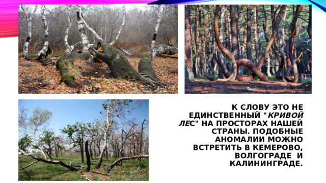 К слову это не единственный 