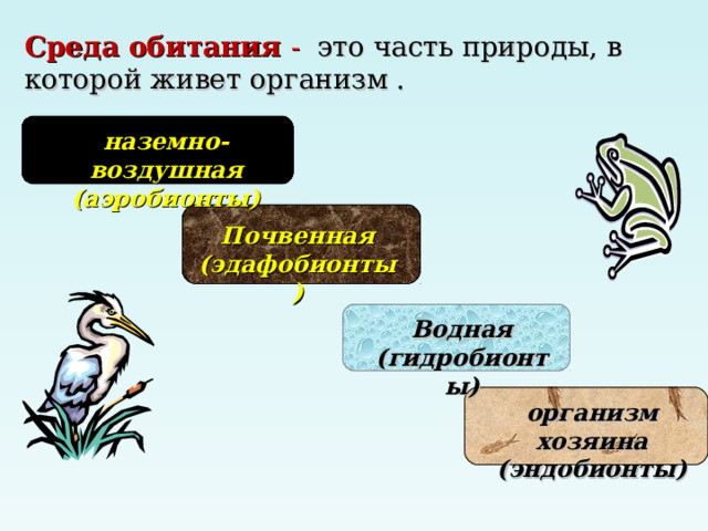 Среда обитания - это часть природы, в которой живет организм .    наземно-воздушная (аэробионты)   Почвенная (эдафобионты)  Водная (гидробионты)  организм хозяина (эндобионты)  
