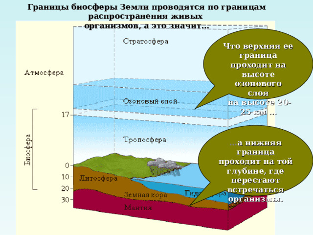 Границы биосферы Земли проводятся по границам распространения живых организмов, а это значит… Что верхняя ее граница проходит на высоте озонового слоя  на высоте 20-25 км … … а нижняя граница проходит на той глубине, где перестают встречаться организмы. 