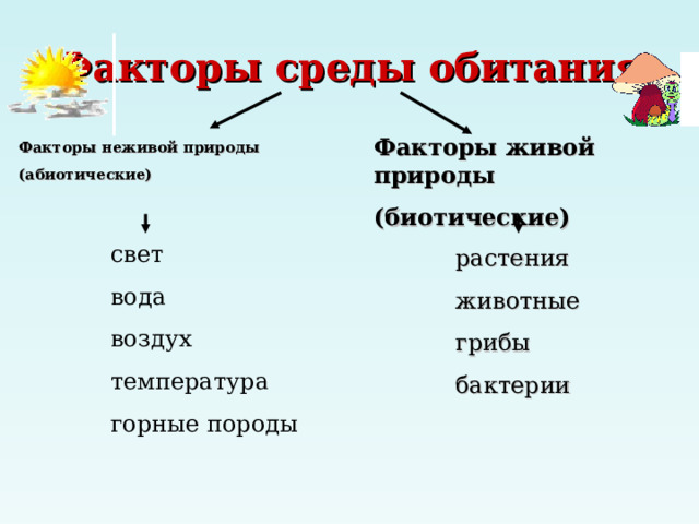 Факторы среды обитания Факторы живой природы (биотические) Факторы неживой природы (абиотические)    свет вода воздух температура горные породы растения животные грибы бактерии  