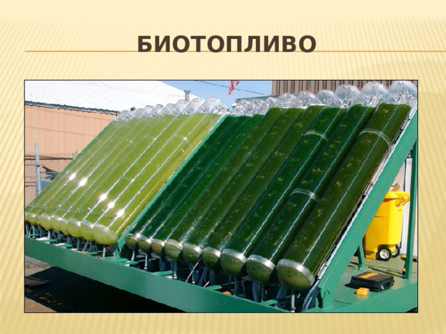 БИОТОПЛИВО 