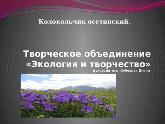 Колокольчик осетинский . Творческое объединение «Экология и творчество»  руководитель :Хубецова Диана 