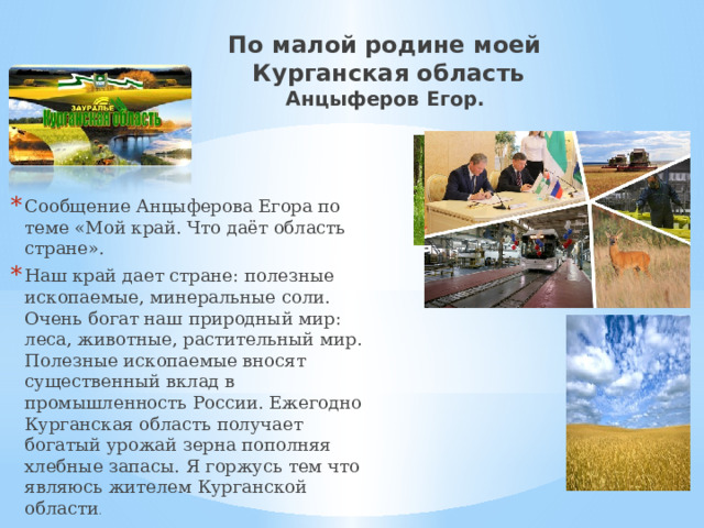 По малой родине моей  Курганская область  Анцыферов Егор.   Сообщение Анцыферова Егора по теме «Мой край. Что даёт область стране». Наш край дает стране: полезные ископаемые, минеральные соли. Очень богат наш природный мир: леса, животные, растительный мир. Полезные ископаемые вносят существенный вклад в промышленность России. Ежегодно Курганская область получает богатый урожай зерна пополняя хлебные запасы. Я горжусь тем что являюсь жителем Курганской области . 