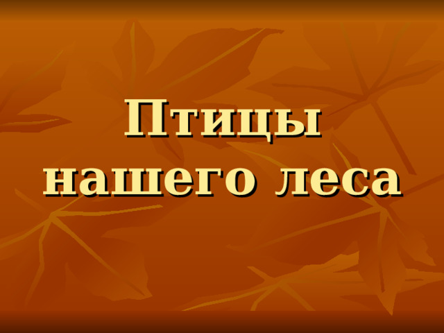 Птицы нашего леса 