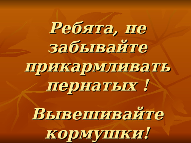 Ребята, не забывайте прикармливать пернатых ! Вывешивайте кормушки! 