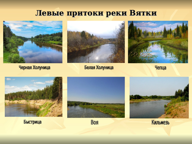 Левые притоки реки Вятки 