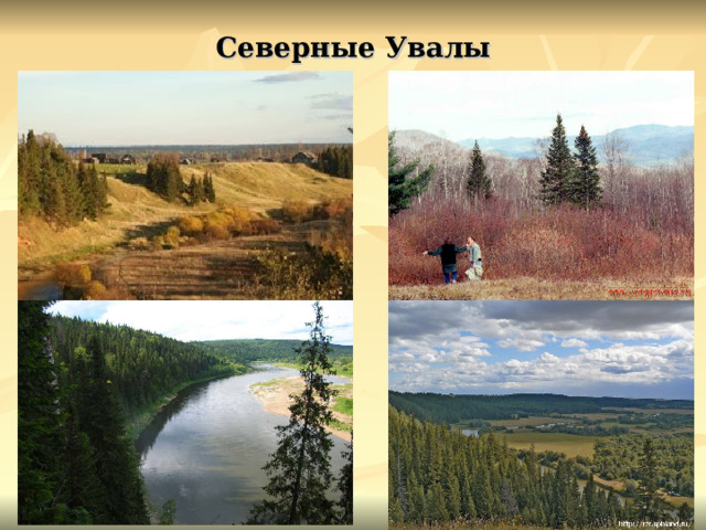 Северные Увалы 