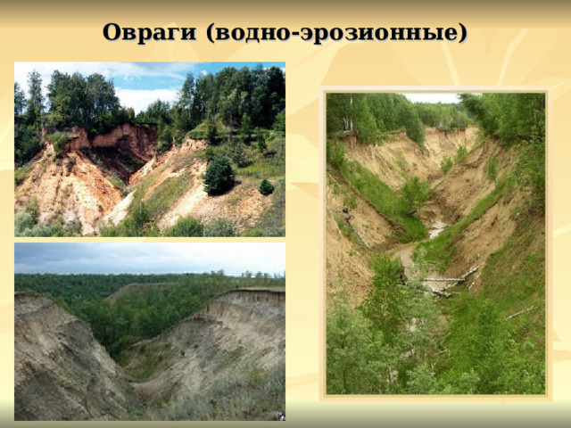Овраги (водно-эрозионные) 
