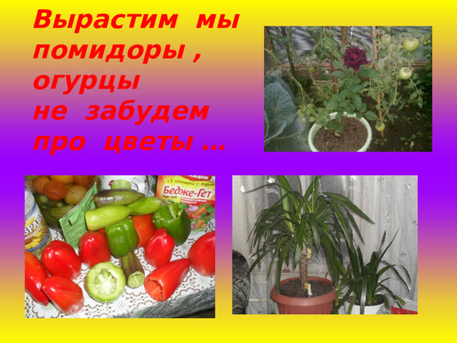 Вырастим мы помидоры , огурцы  не забудем про цветы … 