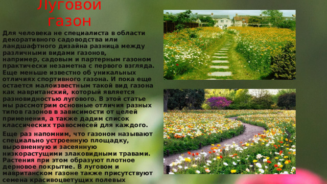 Луговой газон Для человека не специалиста в области декоративного садоводства или ландшафтного дизайна разница между различными видами газонов, например, садовым и партерным газоном практически незаметна с первого взгляда. Еще меньше известно об уникальных отличиях спортивного газона. И пока еще остается малоизвестным такой вид газона как мавританский, который является разновидностью лугового. В этой статье мы рассмотрим основные отличия разных типов газонов в зависимости от целей применения, а также дадим список классических травосмесей для каждого. Еще раз напомним, что газоном называют специально устроенную площадку, выровненную и засеянную низкорастущими злаковидными травами. Растения при этом образуют плотное дерновое покрытие. В луговом и мавританском газоне также присутствуют семена красивоцветущих полевых однолетников. 
