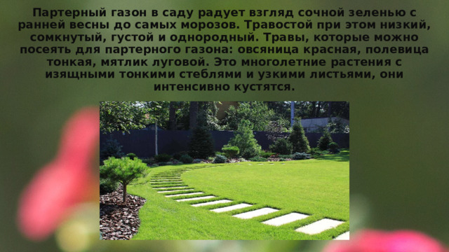 Партерный газон в саду радует взгляд сочной зеленью с ранней весны до самых морозов. Травостой при этом низкий, сомкнутый, густой и однородный. Травы, которые можно посеять для партерного газона: овсяница красная, полевица тонкая, мятлик луговой. Это многолетние растения с изящными тонкими стеблями и узкими листьями, они интенсивно кустятся. 