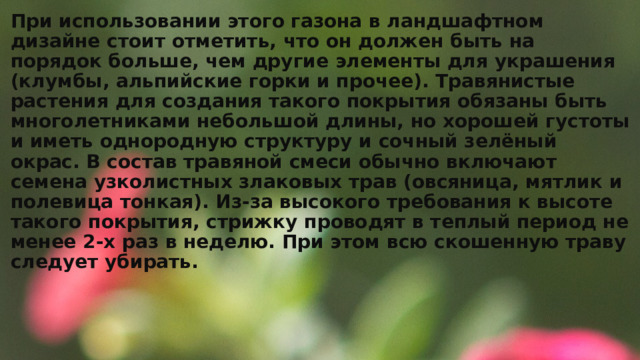 При использовании этого газона в ландшафтном дизайне стоит отметить, что он должен быть на порядок больше, чем другие элементы для украшения (клумбы, альпийские горки и прочее). Травянистые растения для создания такого покрытия обязаны быть многолетниками небольшой длины, но хорошей густоты и иметь однородную структуру и сочный зелёный окрас. В состав травяной смеси обычно включают семена узколистных злаковых трав (овсяница, мятлик и полевица тонкая). Из-за высокого требования к высоте такого покрытия, стрижку проводят в теплый период не менее 2-х раз в неделю. При этом всю скошенную траву следует убирать. 