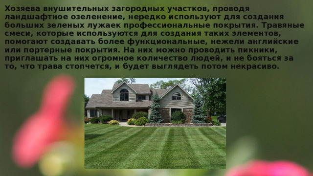 Хозяева внушительных загородных участков, проводя ландшафтное озеленение, нередко используют для создания больших зеленых лужаек профессиональные покрытия. Травяные смеси, которые используются для создания таких элементов, помогают создавать более функциональные, нежели английские или портерные покрытия. На них можно проводить пикники, приглашать на них огромное количество людей, и не бояться за то, что трава стопчется, и будет выглядеть потом некрасиво. 