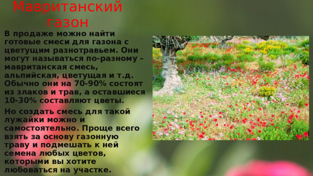 Мавританский газон В продаже можно найти готовые смеси для газона с цветущим разнотравьем. Они могут называться по-разному – мавританская смесь, альпийская, цветущая и т.д. Обычно они на 70-90% состоят из злаков и трав, а оставшиеся 10-30% составляют цветы. Но создать смесь для такой лужайки можно и самостоятельно. Проще всего взять за основу газонную траву и подмешать к ней семена любых цветов, которыми вы хотите любоваться на участке. 