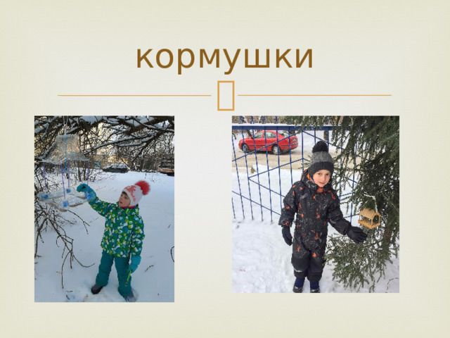 кормушки 