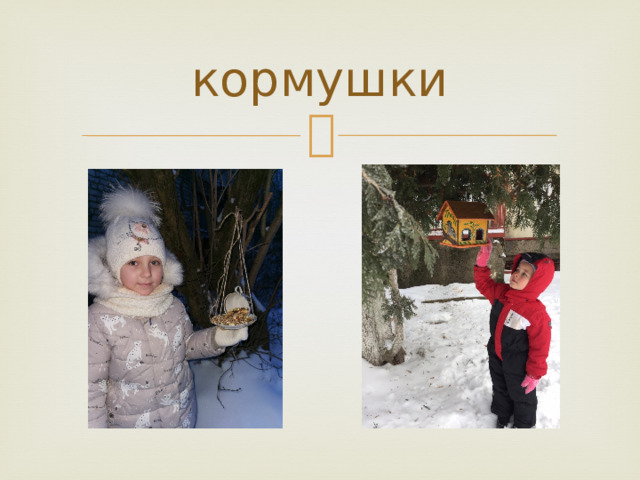 кормушки 