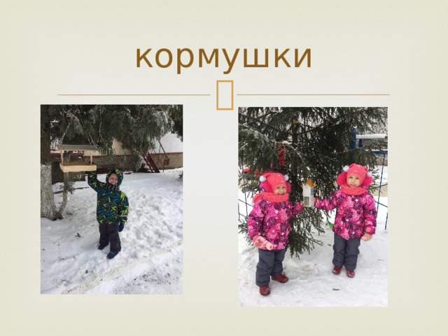 кормушки 