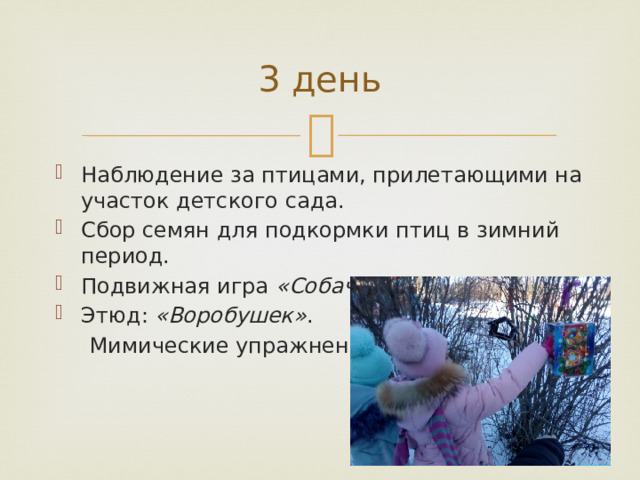3 день Наблюдение за птицами, прилетающими на участок детского сада. Сбор семян для подкормки птиц в зимний период. Подвижная игра  «Собачка и воробьи» . Этюд:  «Воробушек» .  Мимические упражнения. 