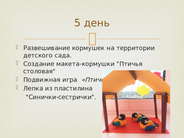 5 день Развешивание кормушек на территории детского сада. Создание макета-кормушки 