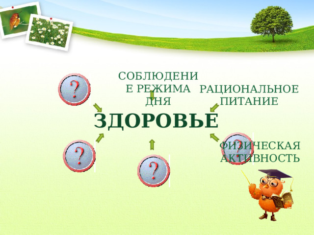  СОБЛЮДЕНИЕ РЕЖИМА ДНЯ РАЦИОНАЛЬНОЕ ПИТАНИЕ ЗДОРОВЬЕ ФИЗИЧЕСКАЯ АКТИВНОСТЬ 