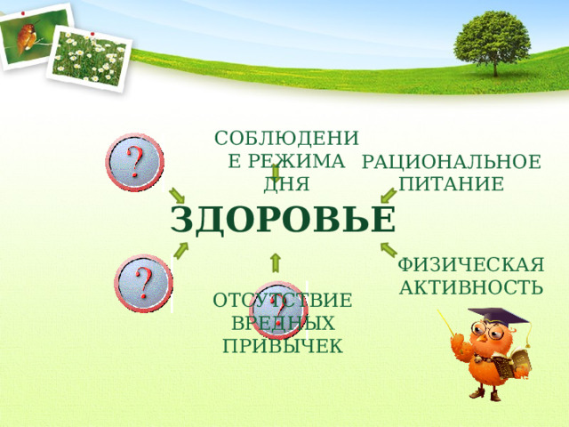  СОБЛЮДЕНИЕ РЕЖИМА ДНЯ РАЦИОНАЛЬНОЕ ПИТАНИЕ ЗДОРОВЬЕ ФИЗИЧЕСКАЯ АКТИВНОСТЬ ОТСУТСТВИЕ ВРЕДНЫХ ПРИВЫЧЕК 