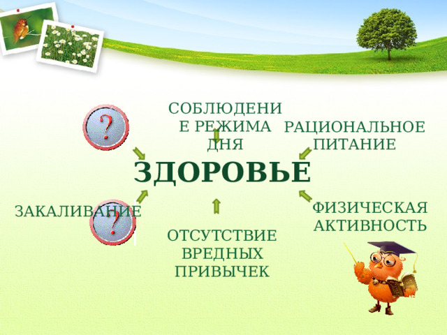  СОБЛЮДЕНИЕ РЕЖИМА ДНЯ РАЦИОНАЛЬНОЕ ПИТАНИЕ ЗДОРОВЬЕ ФИЗИЧЕСКАЯ АКТИВНОСТЬ ЗАКАЛИВАНИЕ ОТСУТСТВИЕ ВРЕДНЫХ ПРИВЫЧЕК 