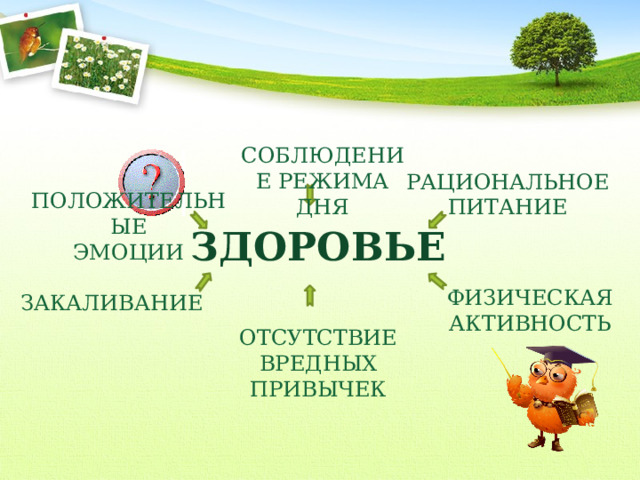  СОБЛЮДЕНИЕ РЕЖИМА ДНЯ РАЦИОНАЛЬНОЕ  ПОЛОЖИТЕЛЬНЫЕ ЭМОЦИИ ПИТАНИЕ ЗДОРОВЬЕ ФИЗИЧЕСКАЯ АКТИВНОСТЬ ЗАКАЛИВАНИЕ ОТСУТСТВИЕ ВРЕДНЫХ ПРИВЫЧЕК 