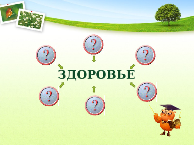 ЗДОРОВЬЕ 
