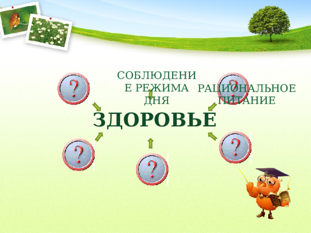  СОБЛЮДЕНИЕ РЕЖИМА ДНЯ РАЦИОНАЛЬНОЕ ПИТАНИЕ ЗДОРОВЬЕ 