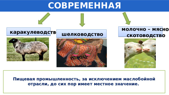 СОВРЕМЕННАЯ ПРОМЫШЛЕННОСТЬ  молочно – мясное скотоводство  каракулеводство  шелководство  Пищевая промышленность, за исключением маслобойной отрасли, до сих пор имеет местное значение.   